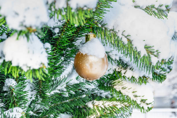 istock Christmas decorations hanging on a pine tree with glitter, 1459090481