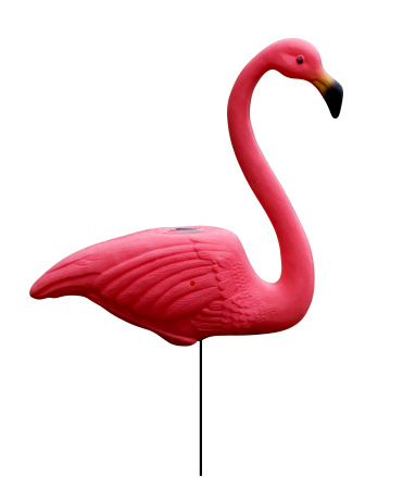 Pink plastic flamingo on white background.