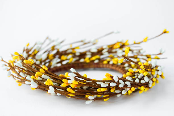 istock Minimal Easter composition with place for text. Concept of creative arrangement made of blossoming twigs. Handcraft Easter wreath made from twigs isolated on white background 1459099363