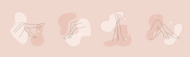 ilustraciones, imágenes clip art, dibujos animados e iconos de stock de conjunto de piernas femeninas en diferentes poses en un contorno de moda, dibujado a mano. ilustración vectorial en colores nude en un estilo elegante. - body care body the human body female