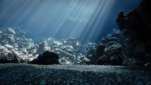 istock Underwater photo of rays of sunlight inside a cave 1459100074