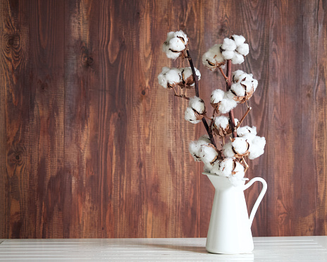 cotton flower in a white jar on a white table, wooden background