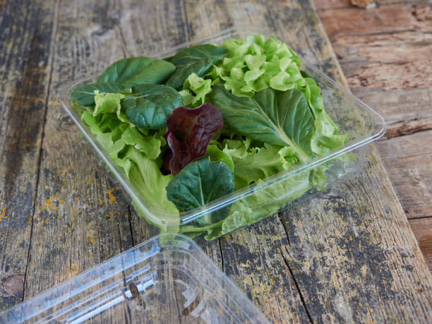 istock take away salad on a plastic packaging on a wooden surface 1459103113