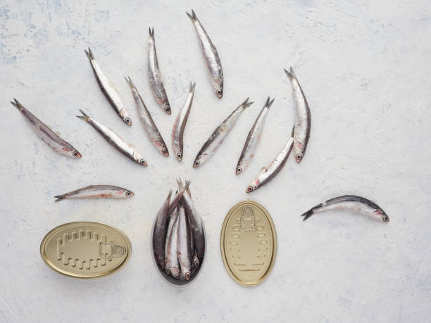 small fresh fish and canned fish. concept of fish canning