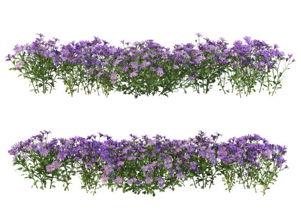 istock 3d render Shrubs and flower on a white background 1459104219