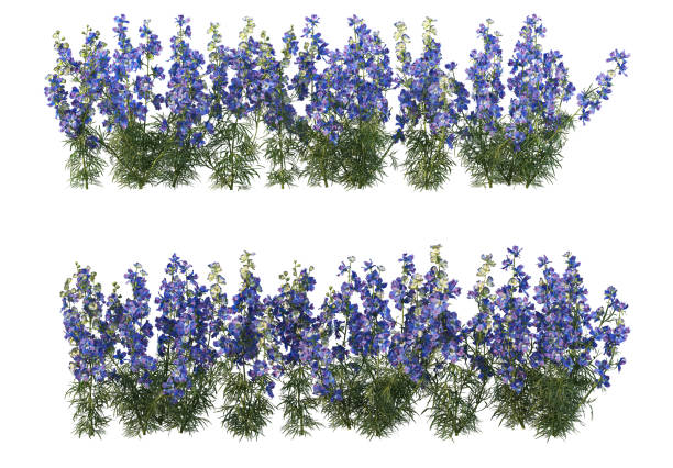 istock 3d render Shrubs and flower on a white background 1459104223