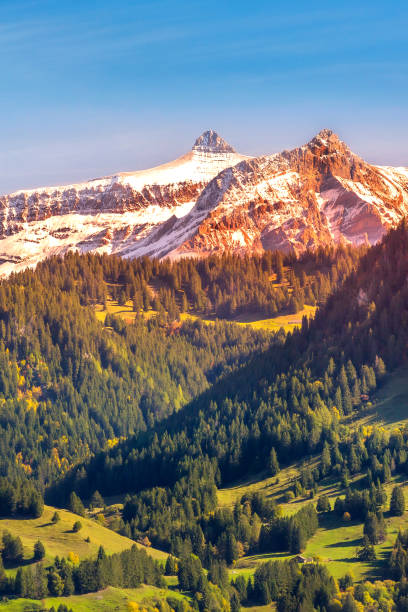 Fantastic mountains landscape in the Swiss Alps Fantastic mountains landscape in the Swiss Alps. Colorful rocks and forest trees Grindlewald stock pictures, royalty-free photos & images