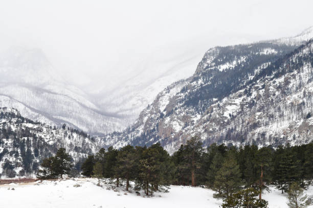Estes Park, CO, USA, January 23, 2023: Snow covers Mountains and Pine Trees in Rock Mountain National Park. This clip was shot from Moraine Park.