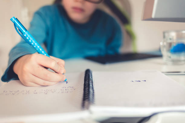 scatto di un giovane adolescente che studia a una scrivania. - elementary age focus on foreground indoors studio shot foto e immagini stock