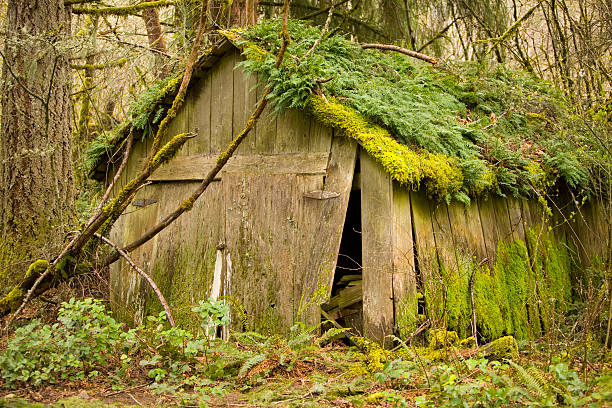 Old Shed in run-down condition stock photo