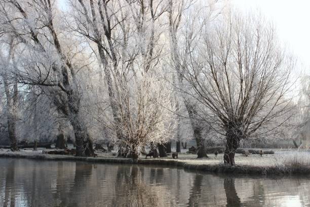 istock Winter Scene from the River Cam in Cambridge 1459116046