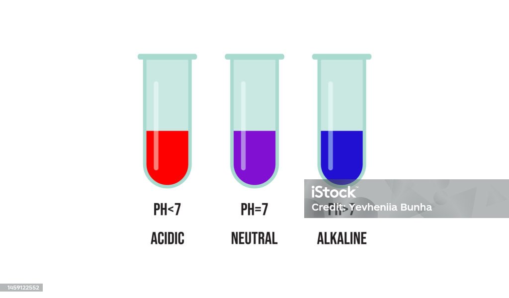 Litmus Test Example Litmus Test Stock Illustration - Download Image Now - Acid, Alkaline ...