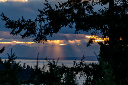 Beautiful sunset on west Vancouver bay, red sky on a cloudy day, tree silhouette on the foreground