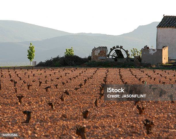 Valdepeñas Виноградник — стоковые фотографии и другие картинки Без людей - Без людей, Виноградник, Виноградовые