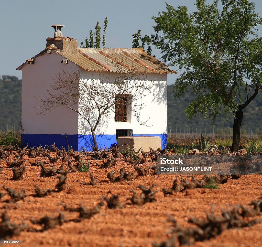 Vinhedo Hut em Valdepañas, Espanha - Foto de stock de Cena Não-urbana royalty-free