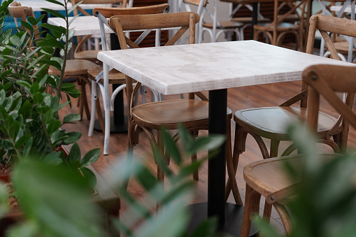 Modern cafe interior with wooden tables with chairs and green plants
