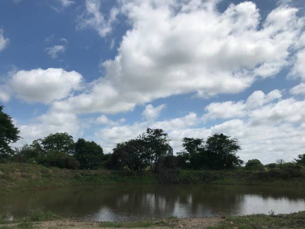 istock Brazilian hinterland 1459127835