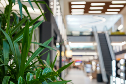 Blurred shopping mall interior background with green plant . Defocused background