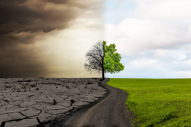 Change from dry climate to fertile climate