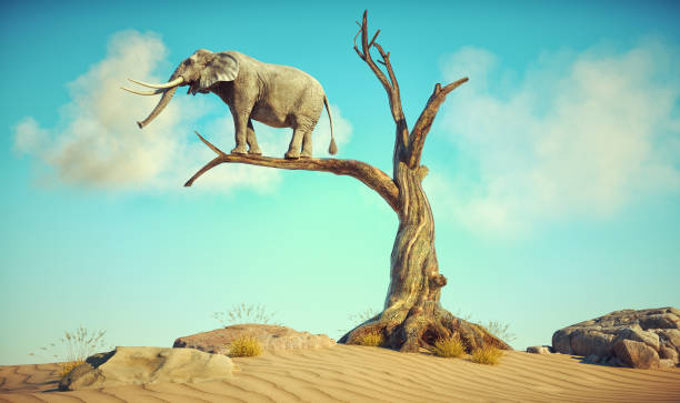 istock Elephant stands on thin branch of withered tree in surreal landscape. 1459130626