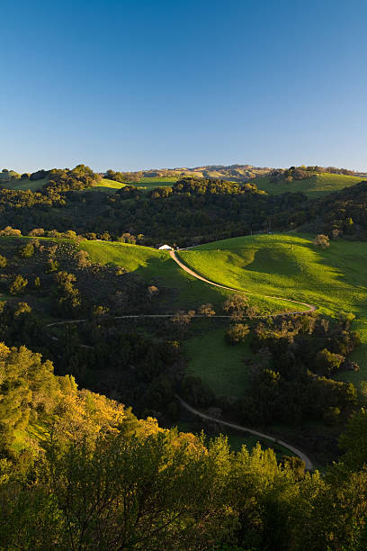istock Winding Road on Green Hills 145913139