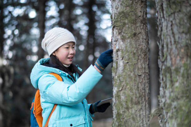 istock Asian junior high school student observing trees and making records in the forest 1459131546