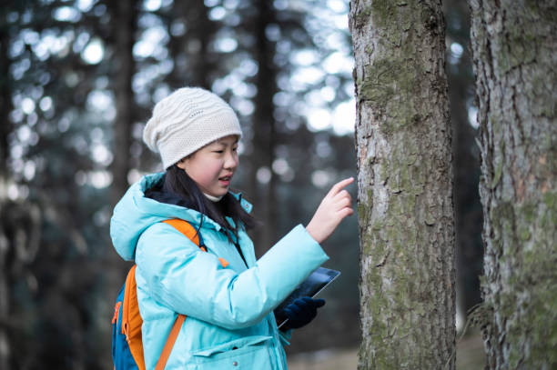 istock Asian junior high school student observing trees and making records in the forest 1459131557