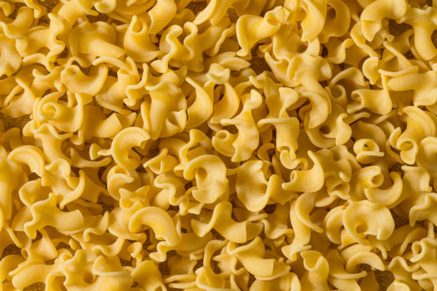istock Homemade Organic Dried Gigli Pasta 1459131785