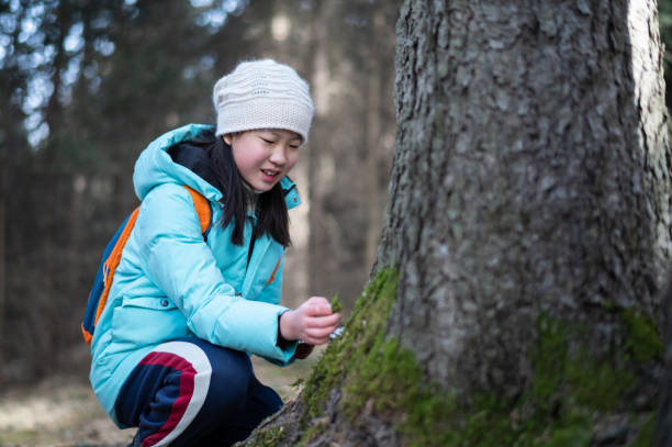 Asian junior high school student observing trees and making records in the forest