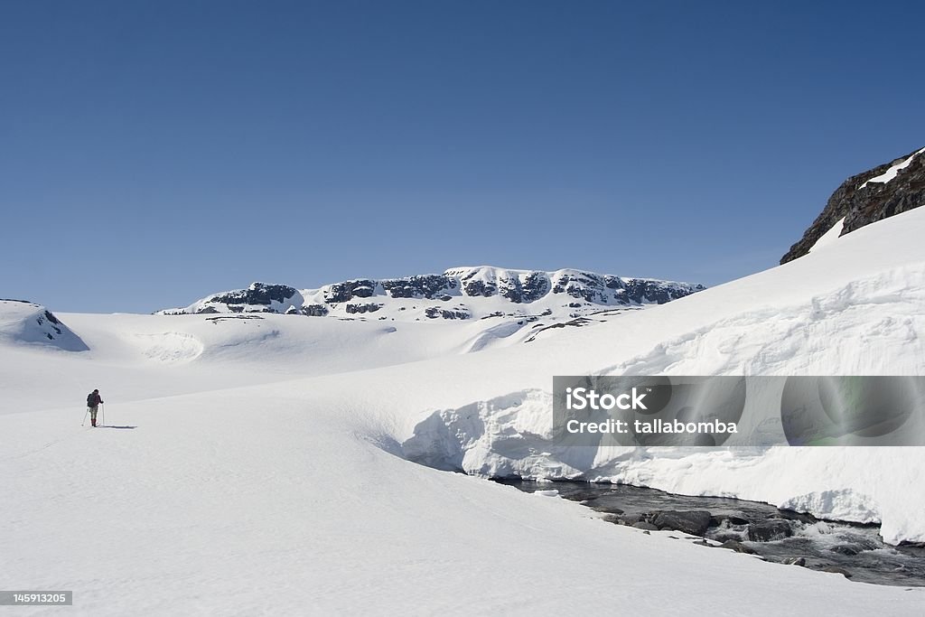 Esquiador na Hardangervidda - Foto de stock de Clima royalty-free
