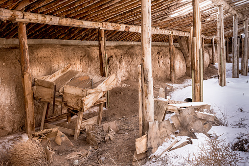 Overgrown nterior of abandoned potato bunker, San Luis Valley, Colorado, on winter day. Heavy beams. Snow on floor. Wooden tools and artifacts on floor with snow.