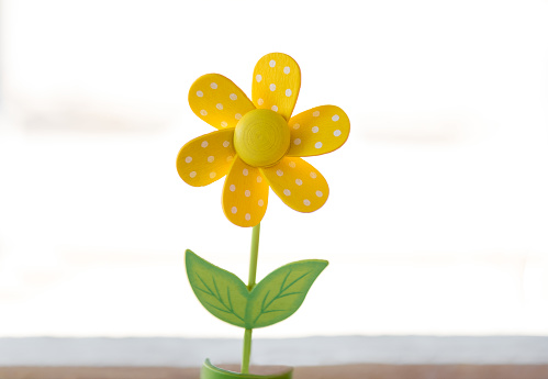 Single yellow wooden daisy isolated on white background