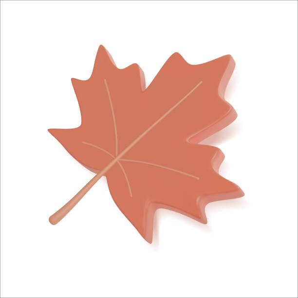 3d red maple leaf plasticine cartoon style. wektor - maple leaf leaf autumn single object stock illustrations