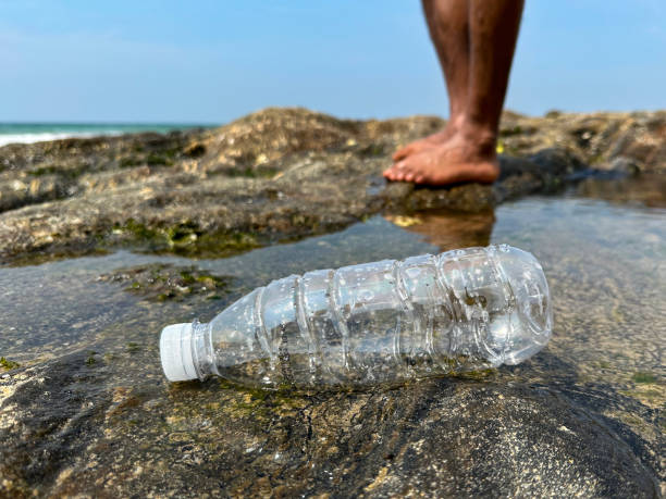 istock Close-up image of empty, transparent plastic water bottle with white lid washed up in rock pool at low tide, unrecognisable person standing on rocks, ocean rubbish and pollution on shore, littering sand, dirty beach, focus on foreground 1459141111