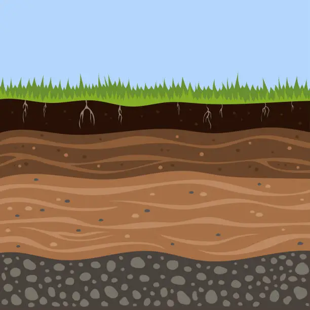 Vector illustration of vector illustration with soil layers and grass