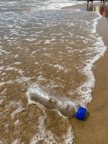 Stock photo showing close-up view of golden sandy Sri Lankan tropical beach at low tide with empty, transparent plastic drinks bottle with blue lid washed up from polluted sea with unrecognisable tourists in the background.