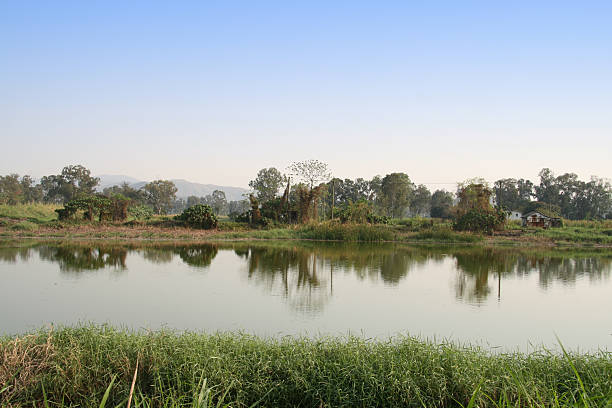 istock Wide view of Lake 145914355