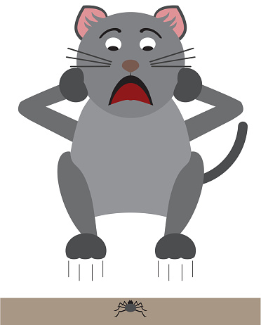 A gray cartoon cat is leaping in fright at the sight of a spider