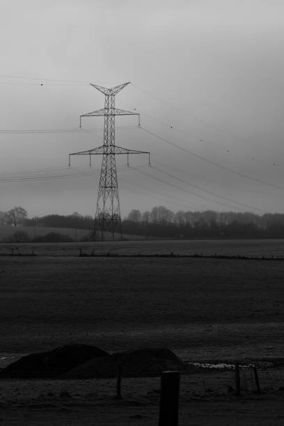 istock power lines on the field 1459145529