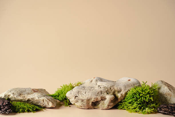 istock Abstract podium for cosmetic 1459146858