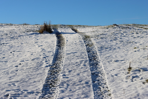 Vehicle tracks in fresh snow
