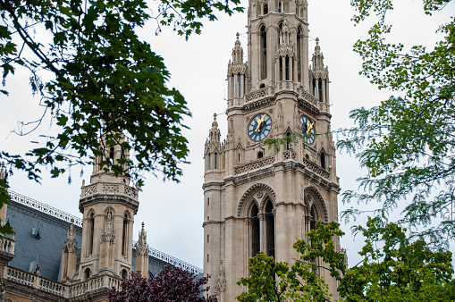 Auckland Clock Tower with trees in the foreground in the city of Vienna during the summer
