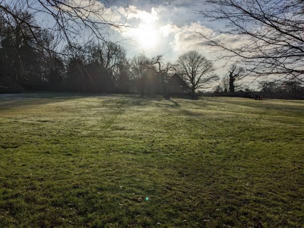 istock Golders Hill Park Hampstead heath winter scene 1459149482