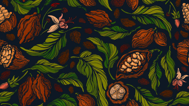 illustrazioni stock, clip art, cartoni animati e icone di tendenza di modello senza cuciture vettoriale del cacao cioccolato fondente, cibo - chocolate cocoa hot chocolate backgrounds