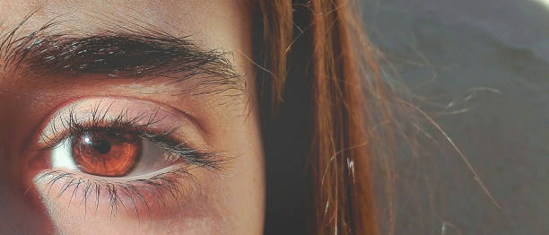 istock Brown Eye . Close-up 1459152769