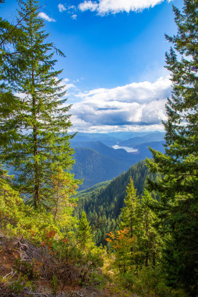 istock Mountain biking in Oakridge, Oregon 1459153878