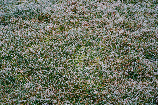 Frost on the ground freezing blades of grass around a footprint