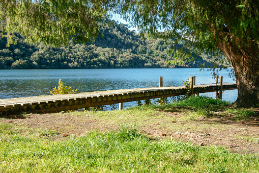 Scenic lake with tree arching over jetty