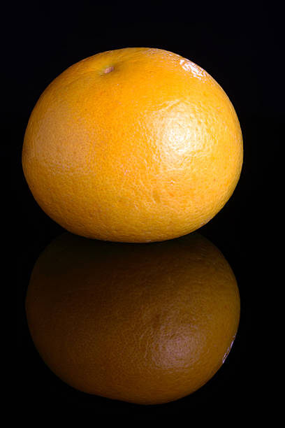 Grapefruit stock photo