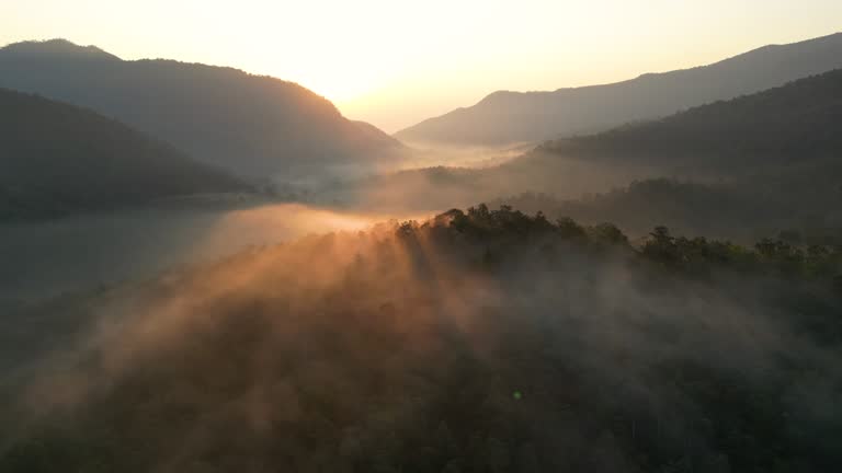 Aerial shot above the mist with green forest sunrise time in the morning